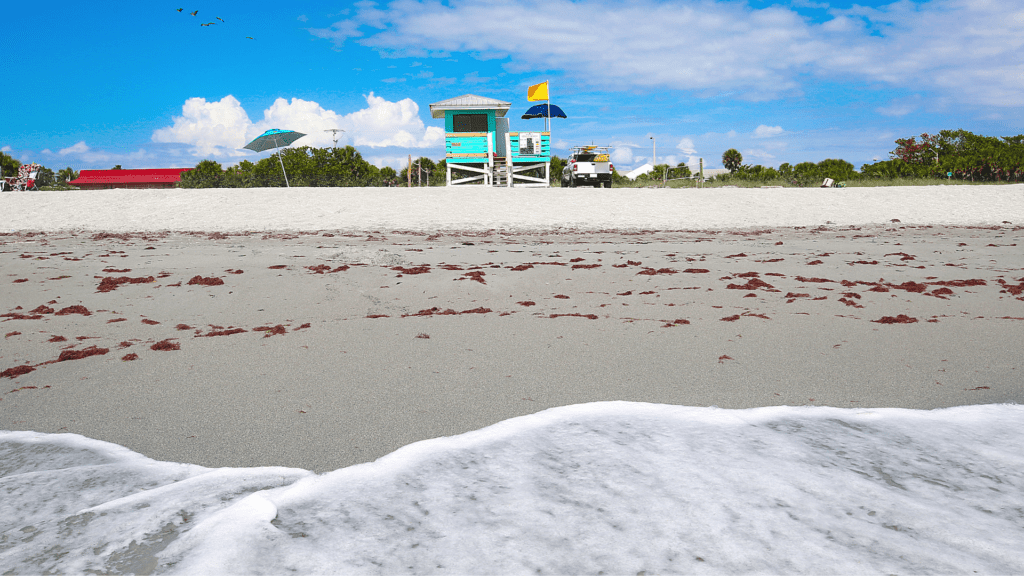 What to Know About Red Tide on Anna Maria Island